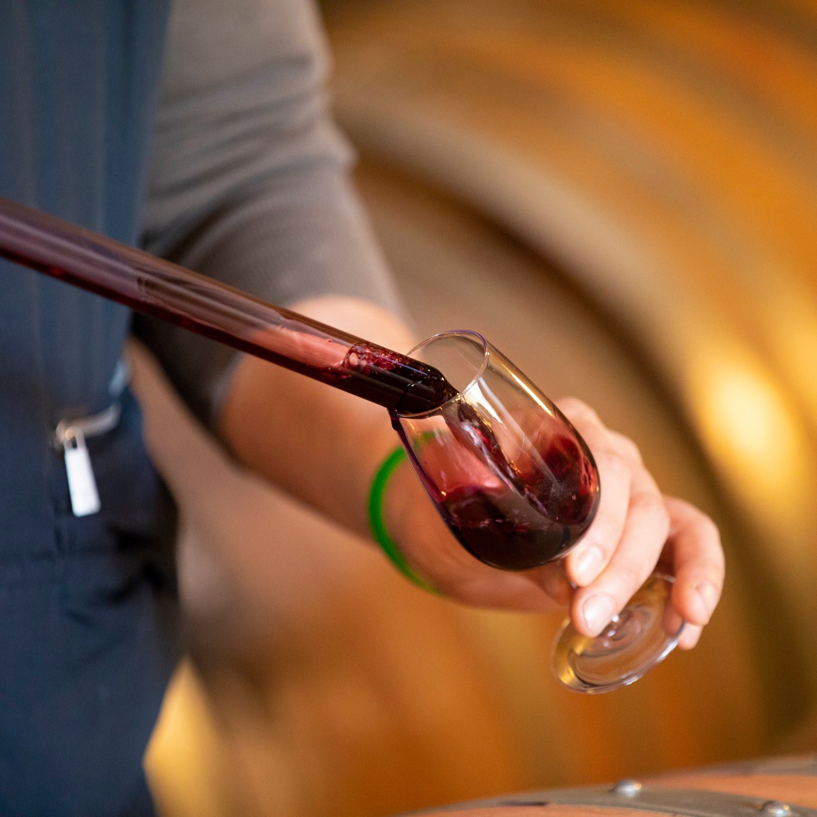 Wine heals: Friuli charity wine helps Udine Hospital